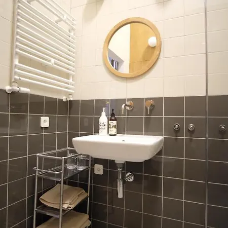 Loft Przy Fosie Apartment *